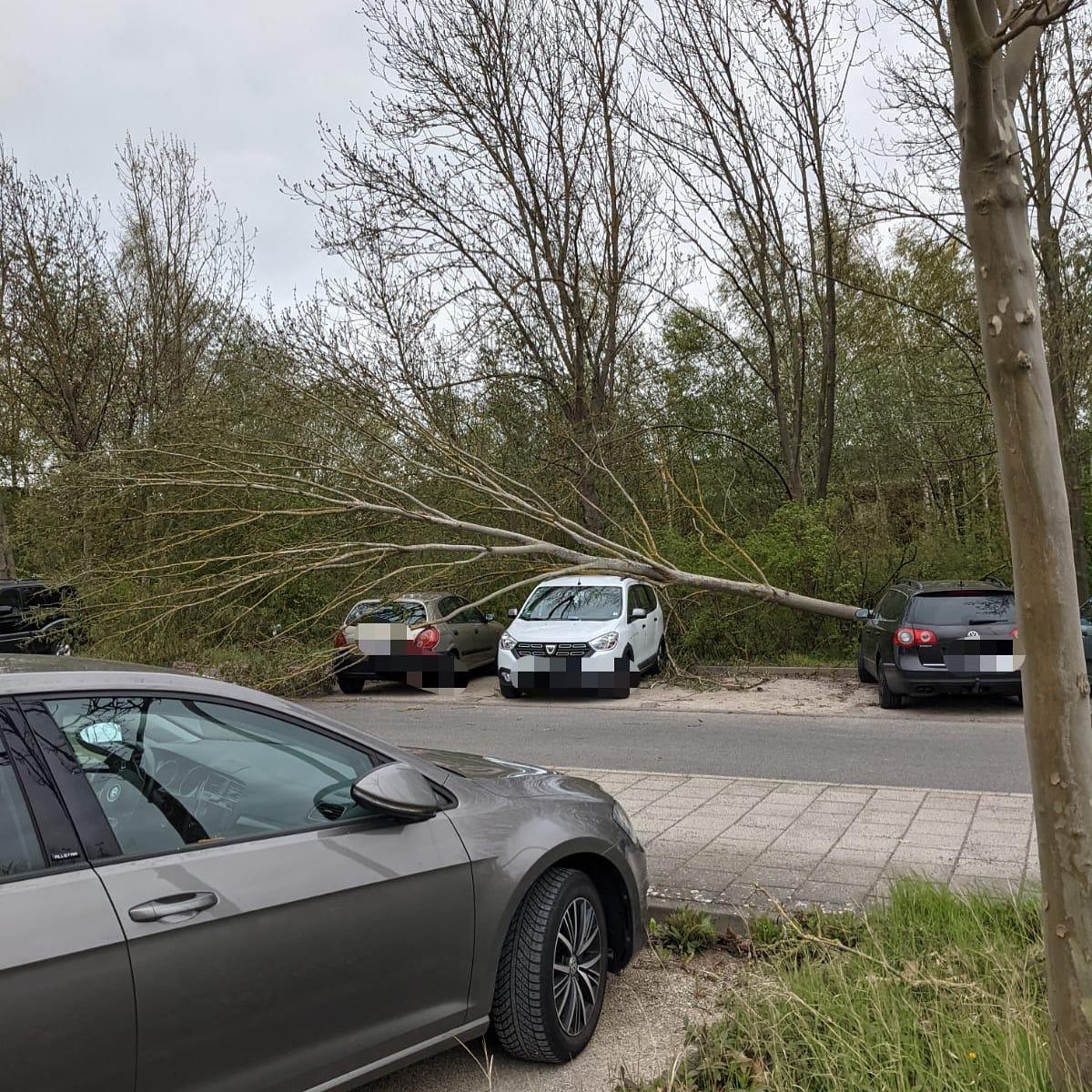 Technische Hilfeleistung Technische Hilfeleistung