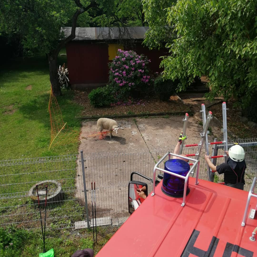 Technische Hilfeleistung Technische Hilfeleistung
